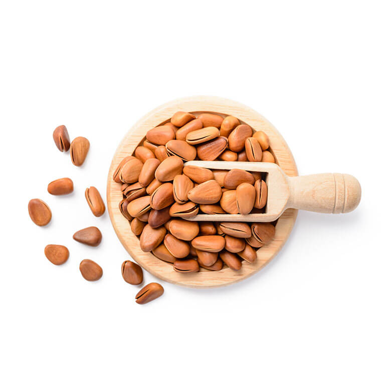 Bean